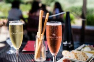 探秘世界杯球衣，葡萄牙长袖的秘密与魅力世界杯球衣葡萄牙长袖