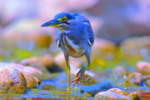 国际足联U20世界杯，全球目光的焦点与青春的激情国际足联u20世界杯