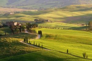 国际足联U20世界杯，全球目光的焦点与青春的激情国际足联u20世界杯