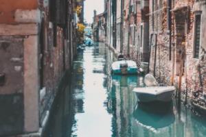 中央5世界杯回放，全球目光的集中之处中央5世界杯回放